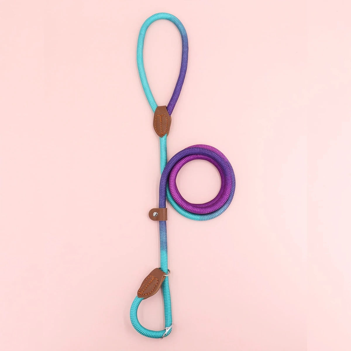 Clementine Leash - Colorful Dog Leash for Stylish Walks
