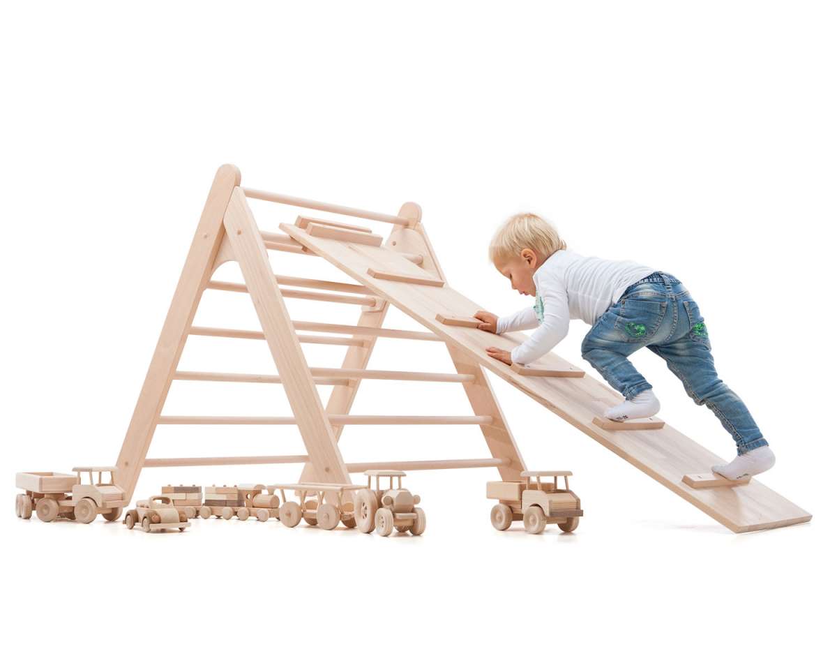 ClimbEase Board - 2-in-1 Wooden Climbing Ladder and Slide Board