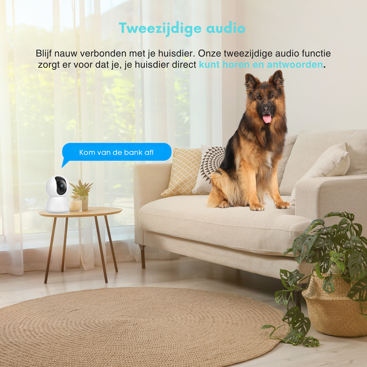 Premiumpets - Smart Camera to Watch Over Your Pet