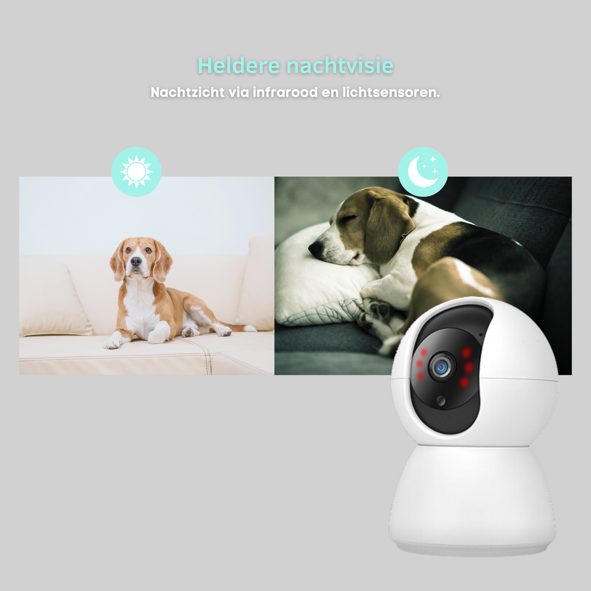 Premiumpets - Smart Camera to Watch Over Your Pet
