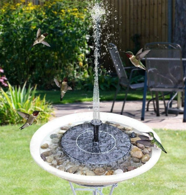 Flowbee - Fontaine solaire élégante pour les oiseaux du jardin