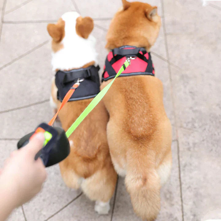 DuoPaw - Laisse Rétractable Double Chien Anti-Nœud