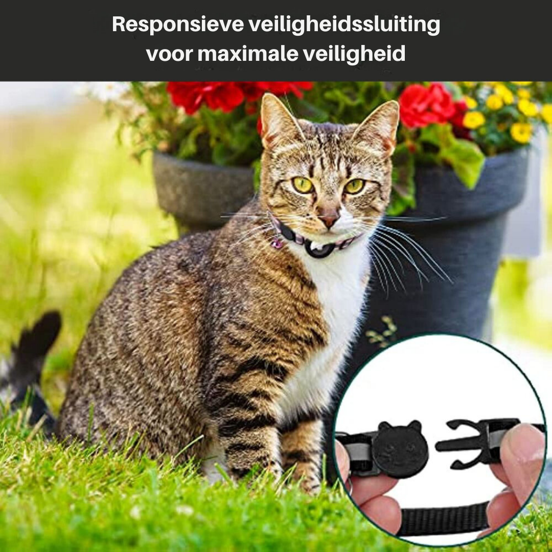 Collier GPS pour Chat avec Fermeture à Dégagement Rapide | Design Réfléchissant pour Sécurité Nocturne 4