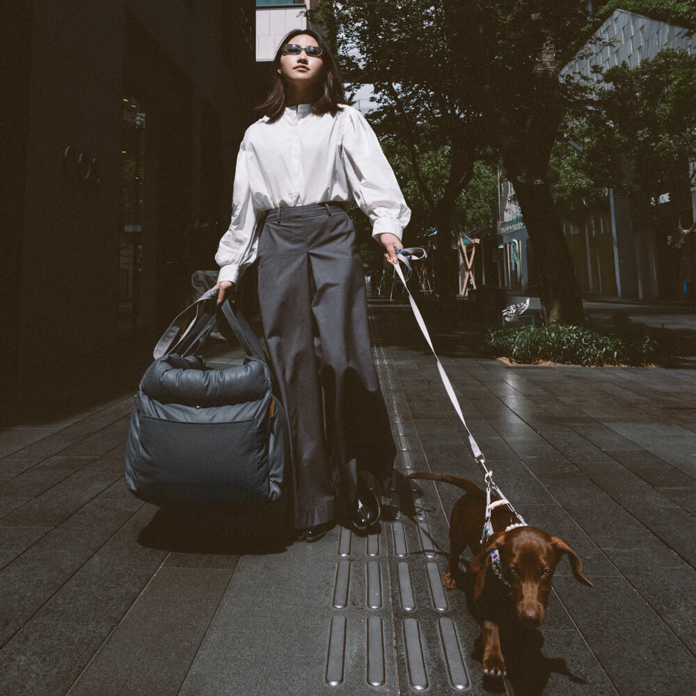 PawLuxury - Deluxe Car Seat for Dogs