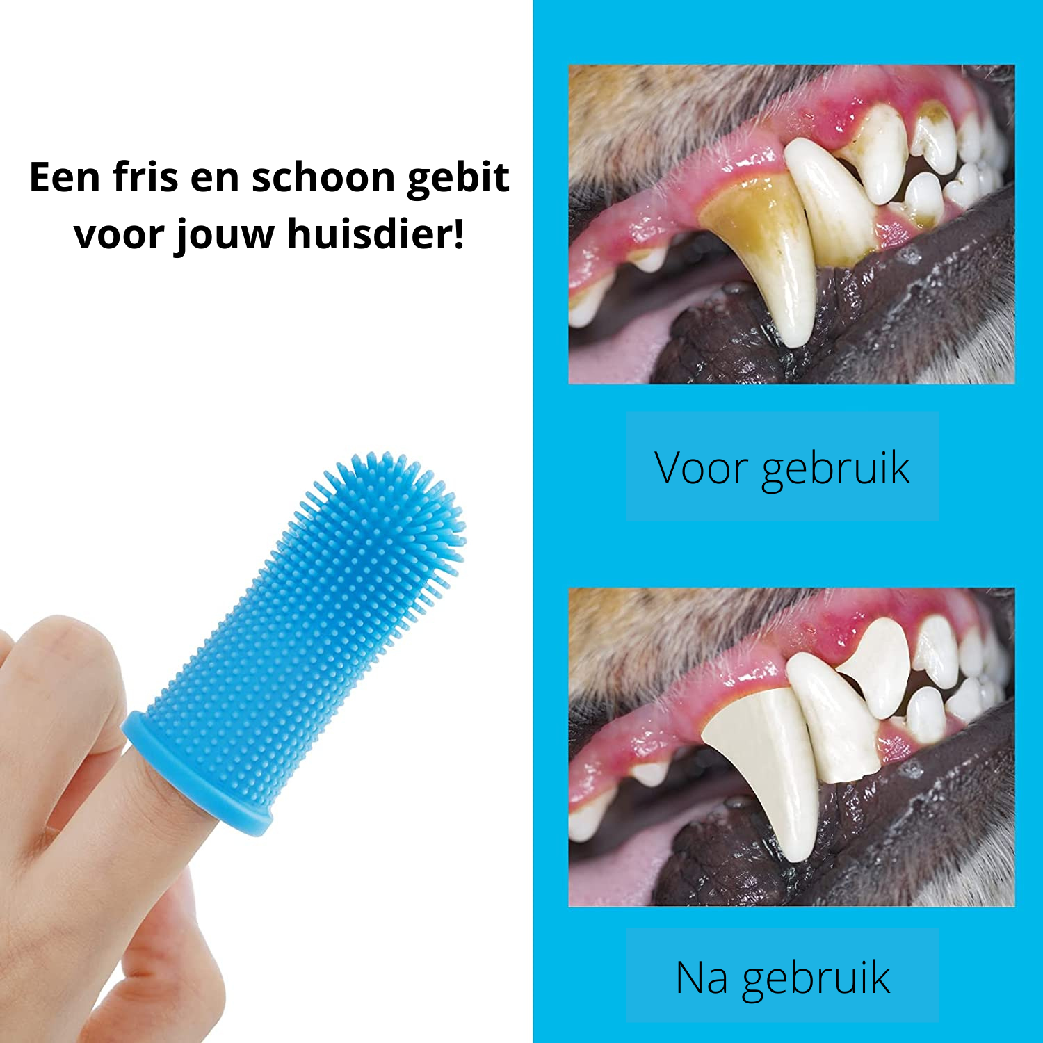 PawClean Pro - Gentle Dental Care for Dogs