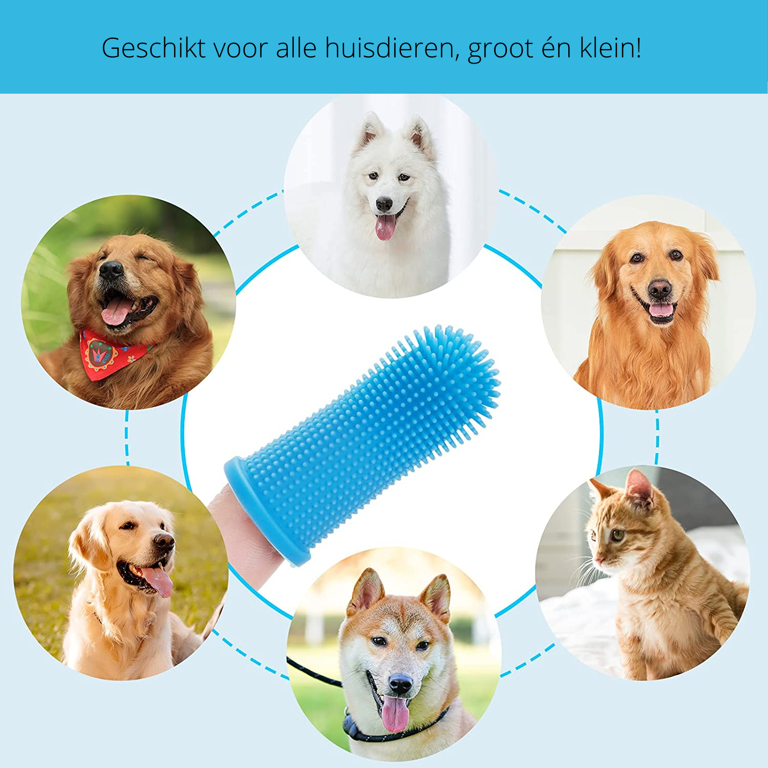 PawClean Pro - Gentle Dental Care for Dogs