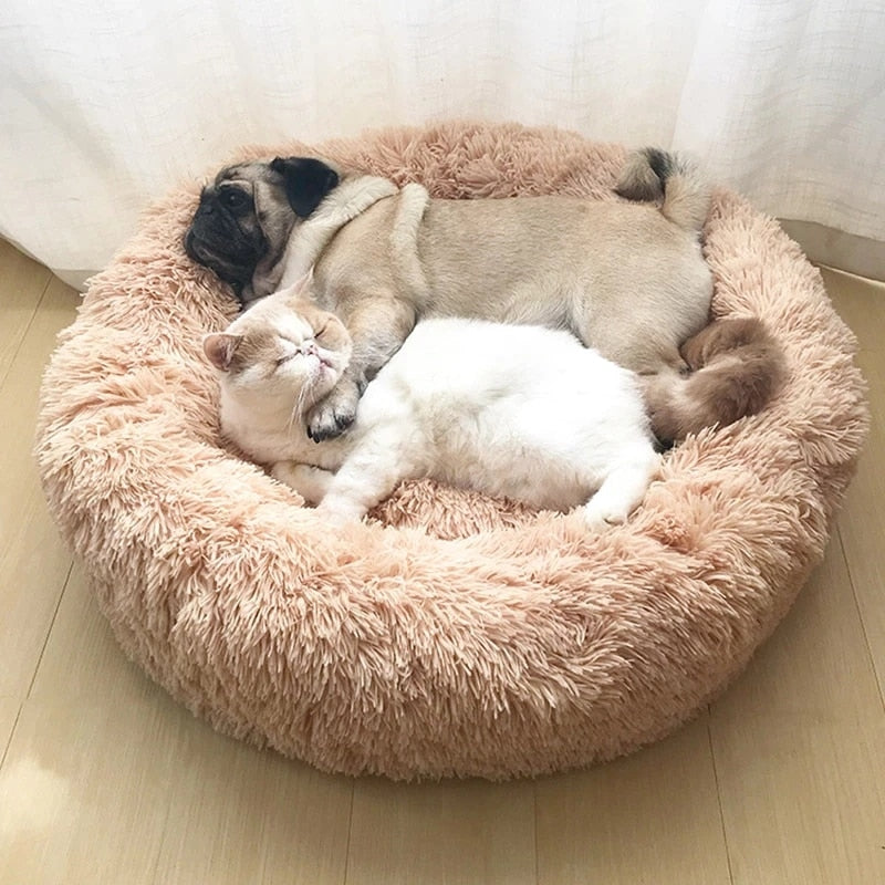 Pet Donut Sofa - Cozy Calming Bed for Dogs and Cats