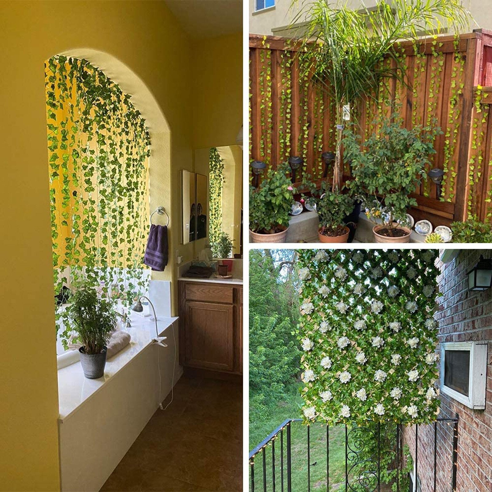 EvergreenGlow – Plantes Vertes Toujours en Saison