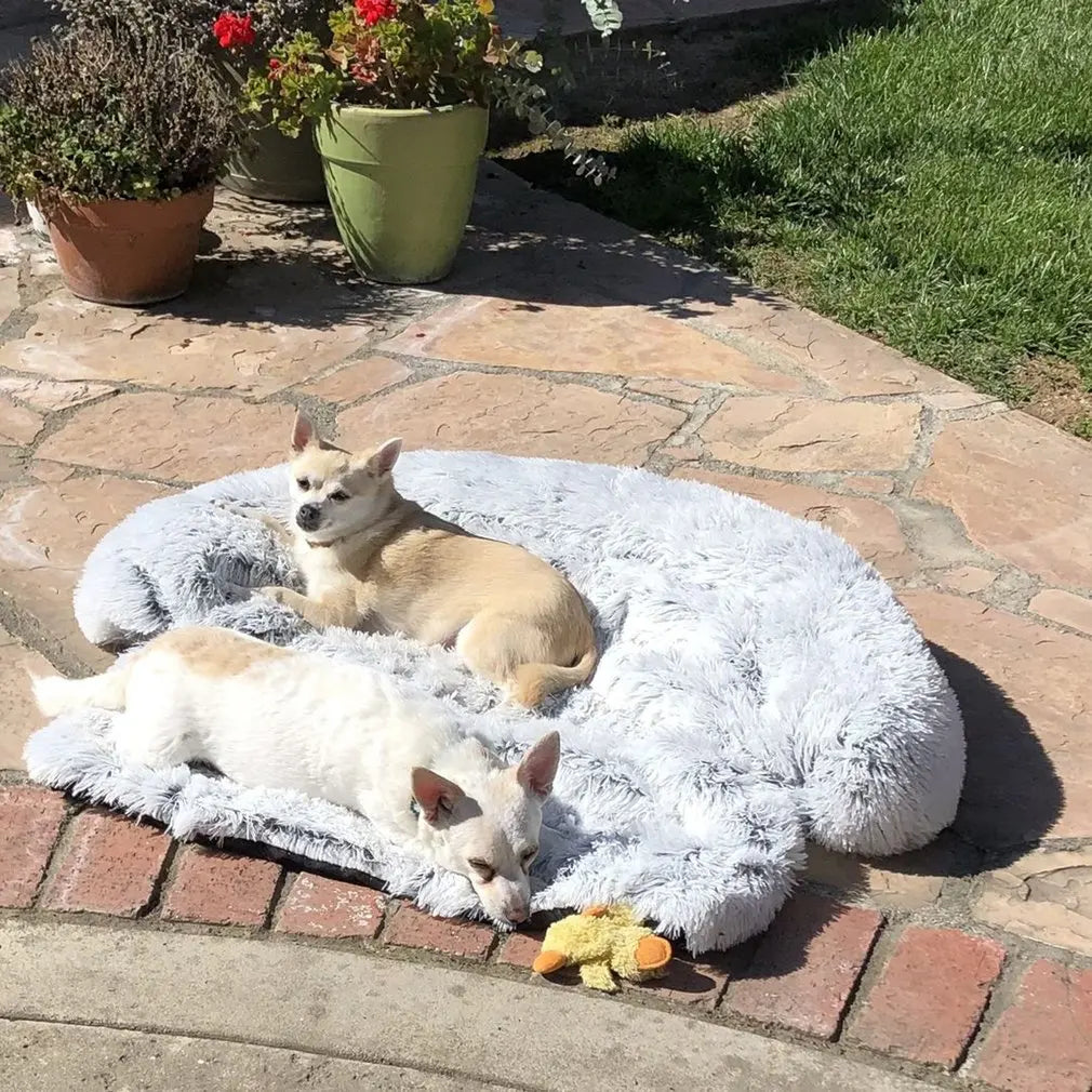 Quishy PetBed - Coussin Peluche Lavable pour Animal
