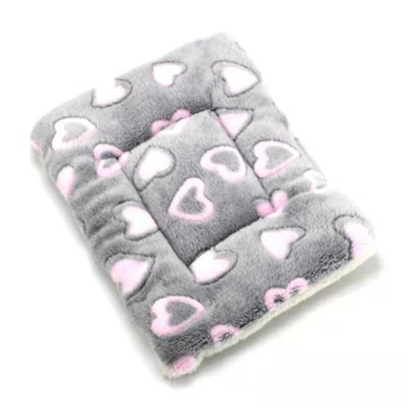 PetCloud - Ultra Comfortable Pet Cushion