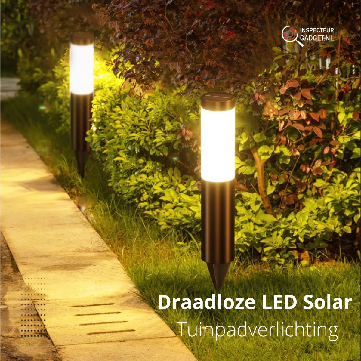 Jovolt - Wireless Solar LED Garden Pathway Light