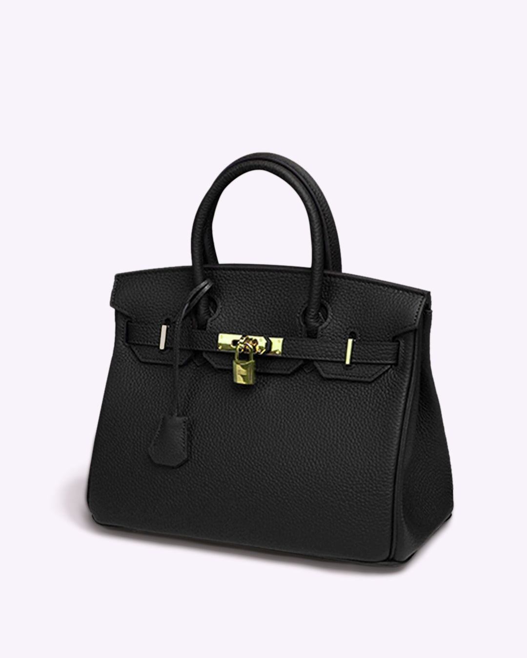 BelleVera Handbag – Sac Cuir Élégant pour Femmes