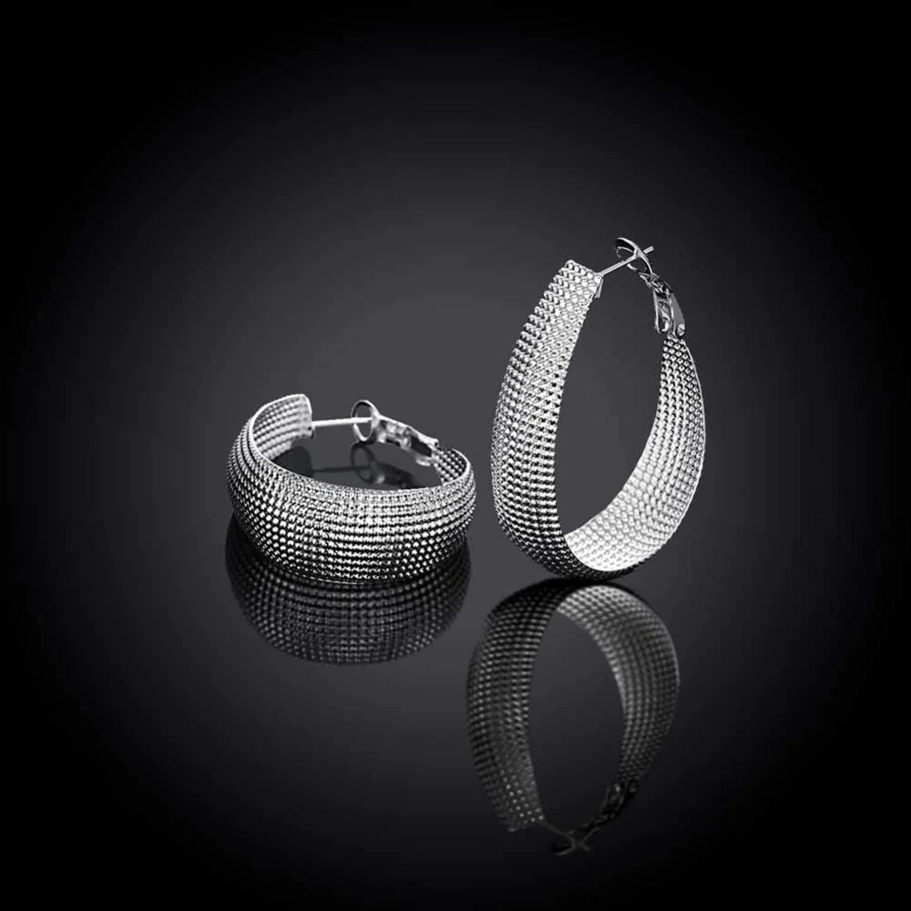 Boucles d'oreilles argent élégantes d'Europe