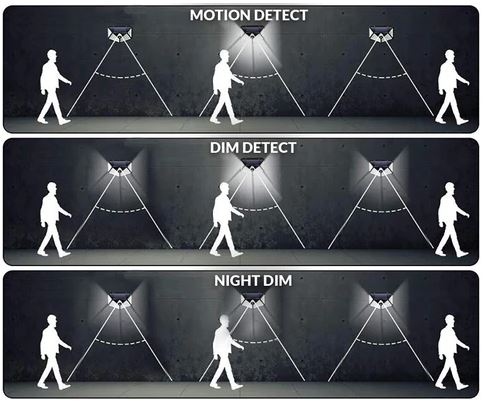 Solar LED Motion Light - Wireless Motion-Sensor Garden Lighting