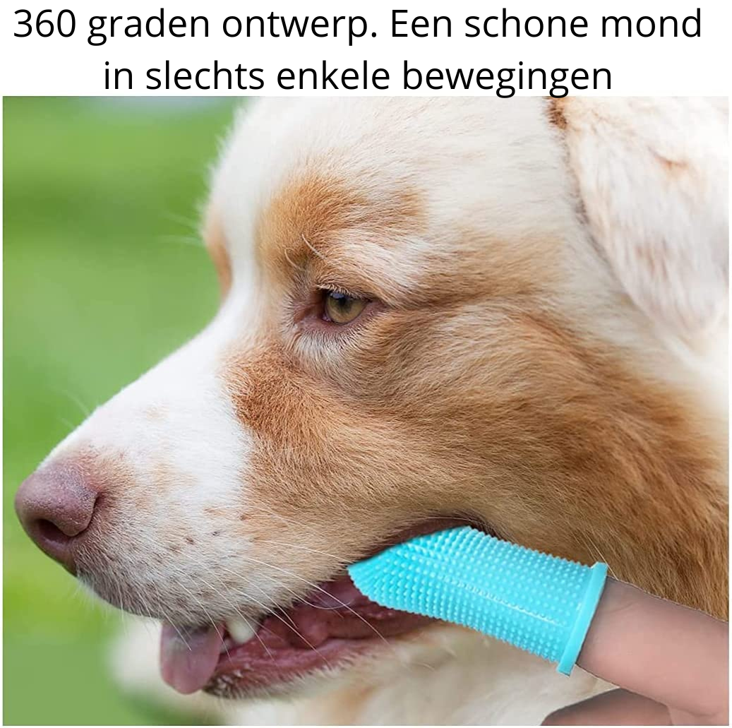 PawClean Pro - Gentle Dental Care for Dogs