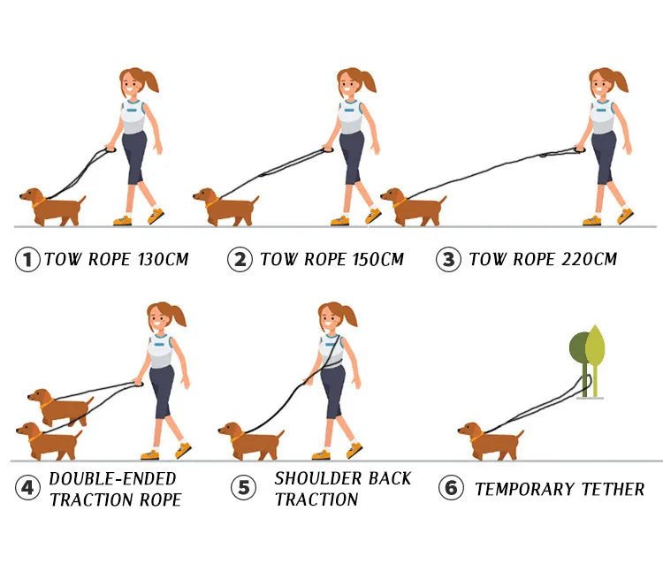 FreedomLeash - Laisse Chien Mains Libres Innovante