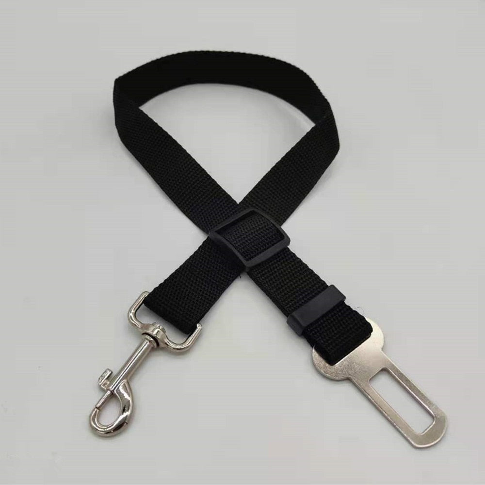 SafePaw - Luxury Car Safety Leash for Dogs