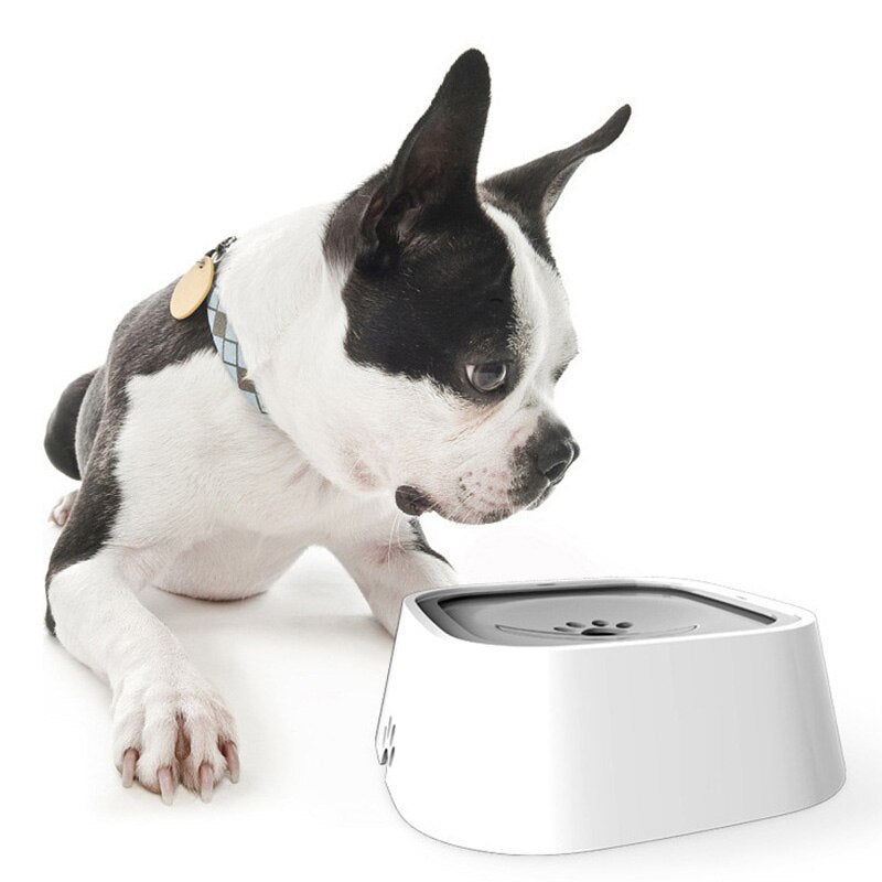 DrinkGuard - The Anti-Splash Water Bowl for Dogs