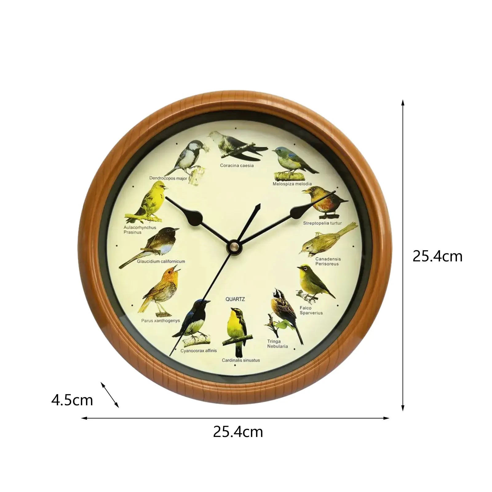 BirdSong Clock - Horloge murale 25 cm avec chants d'oiseaux