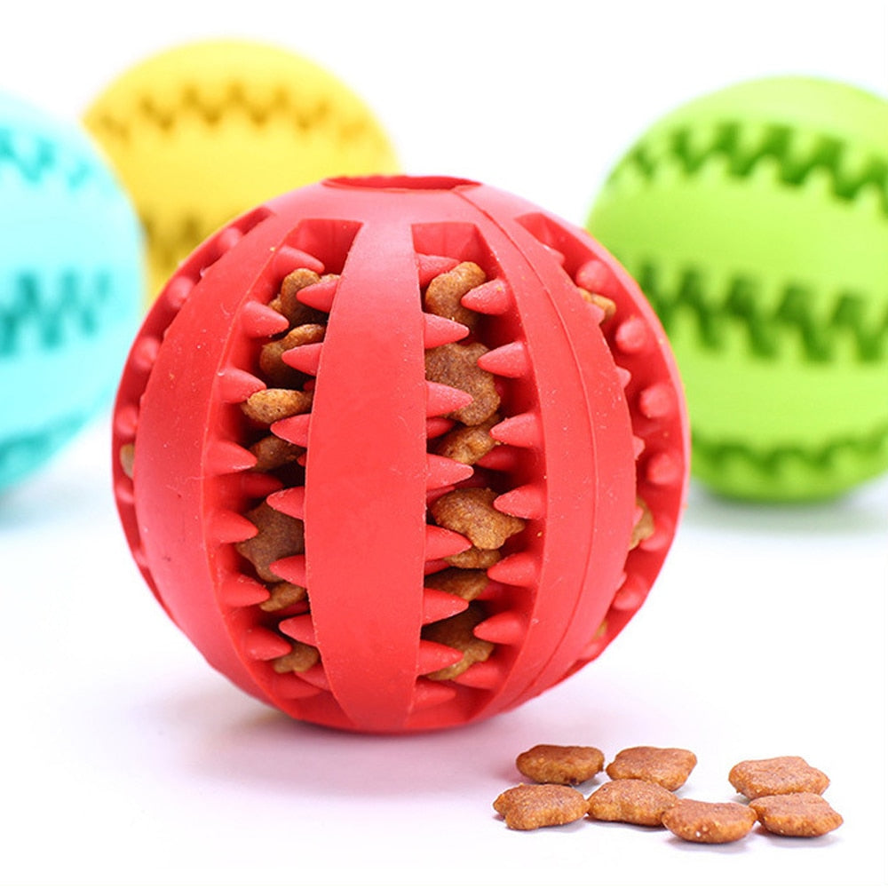 PlayMaster - Durable Interactive Dog Toy