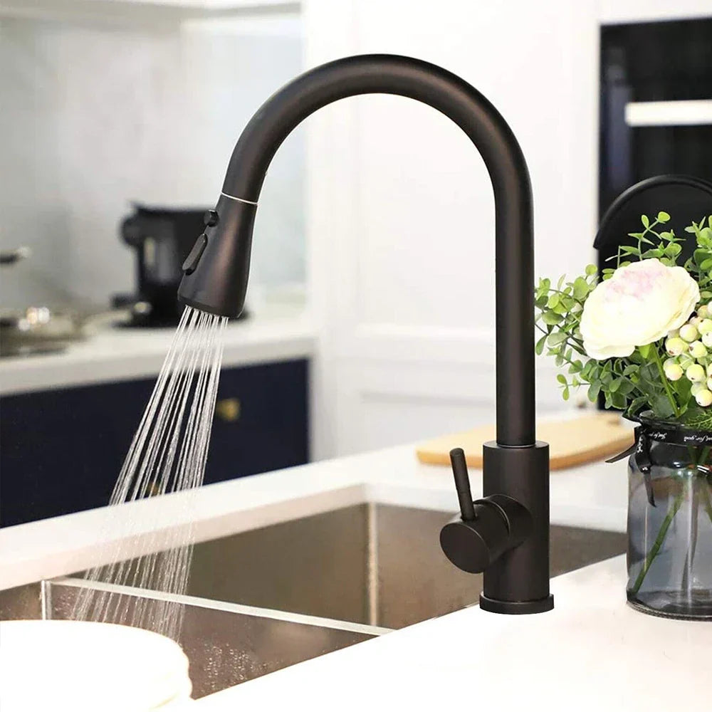 BlackStream - Modern Black Kitchen Faucet with Pull-Out Sprayer