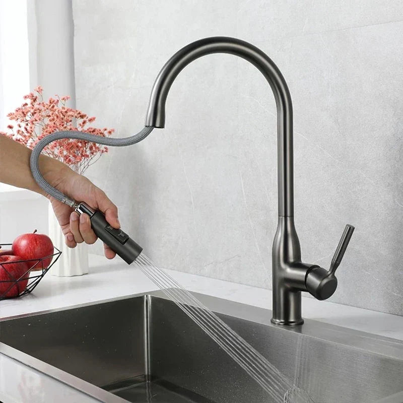 AquaStream Luxe - Robinet de Cuisine Réglable avec Douchette