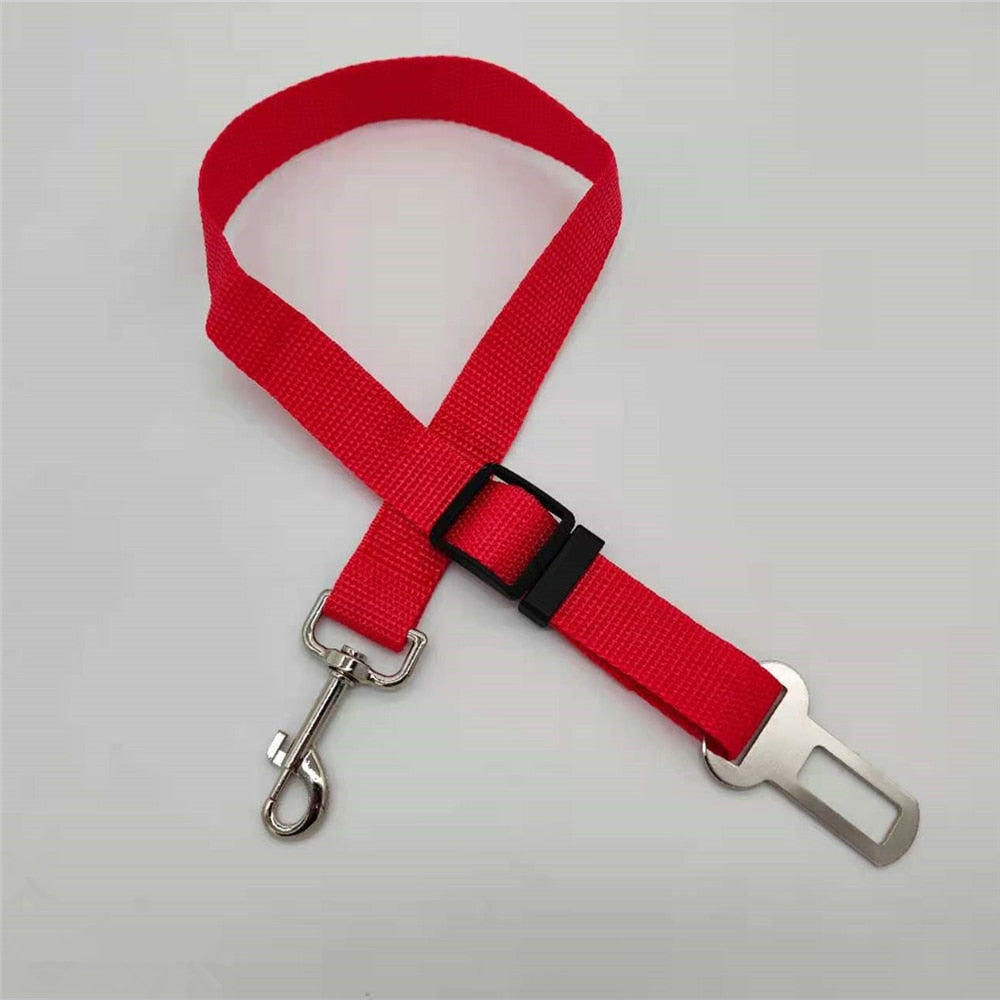 SafePaw - Luxury Car Safety Leash for Dogs