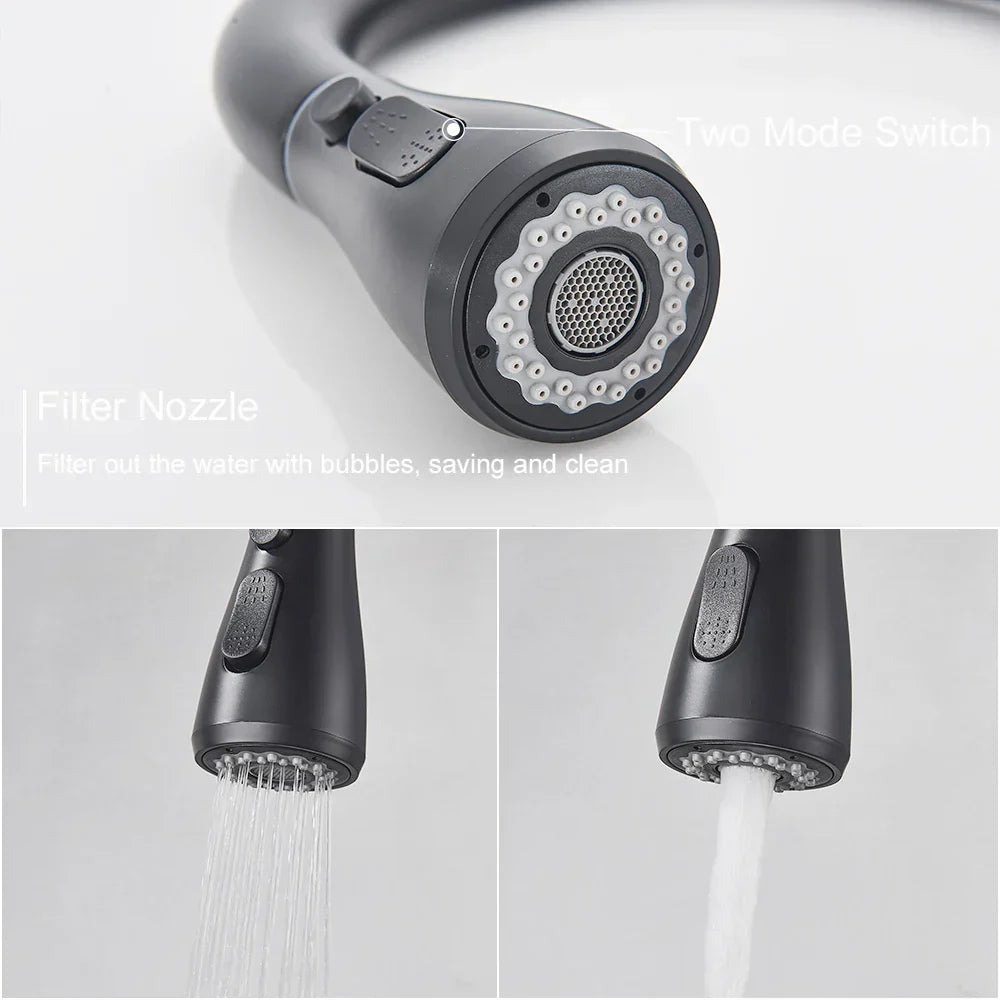 BlackStream - Modern Black Kitchen Faucet with Pull-Out Sprayer