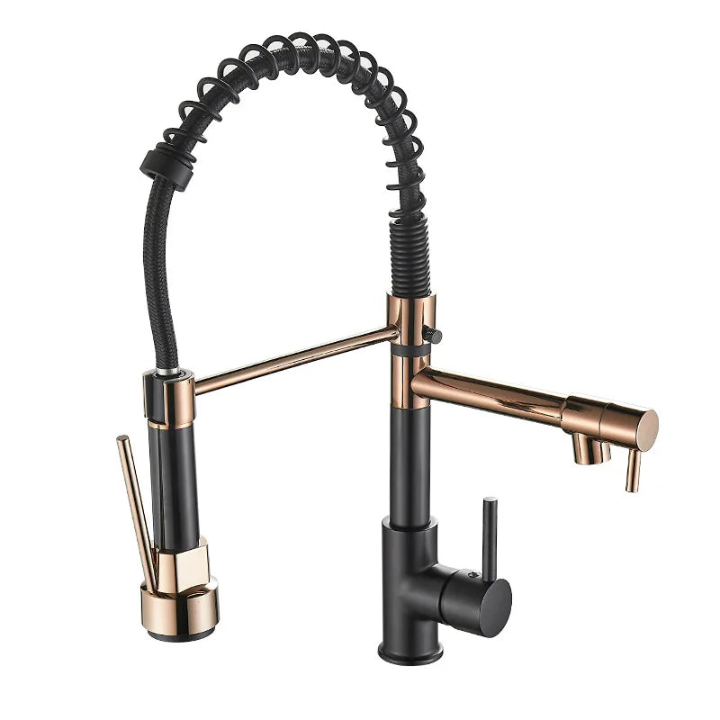 DualFlow - Black and Gold Dual-Spout Brass Kitchen Faucet