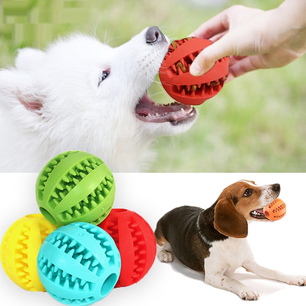 PlayMaster - Durable Interactive Dog Toy