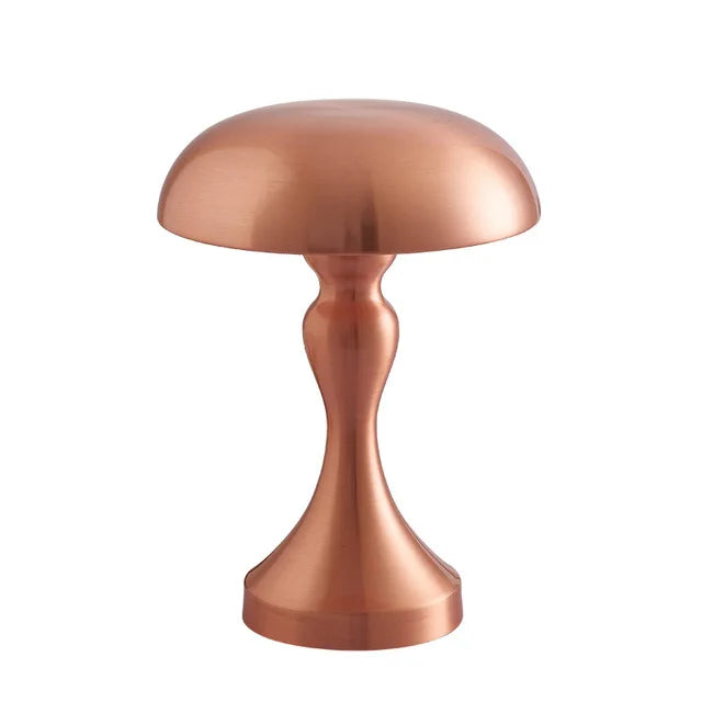 Elegant Reading Light - Rechargeable Cordless LED Reading Lamp