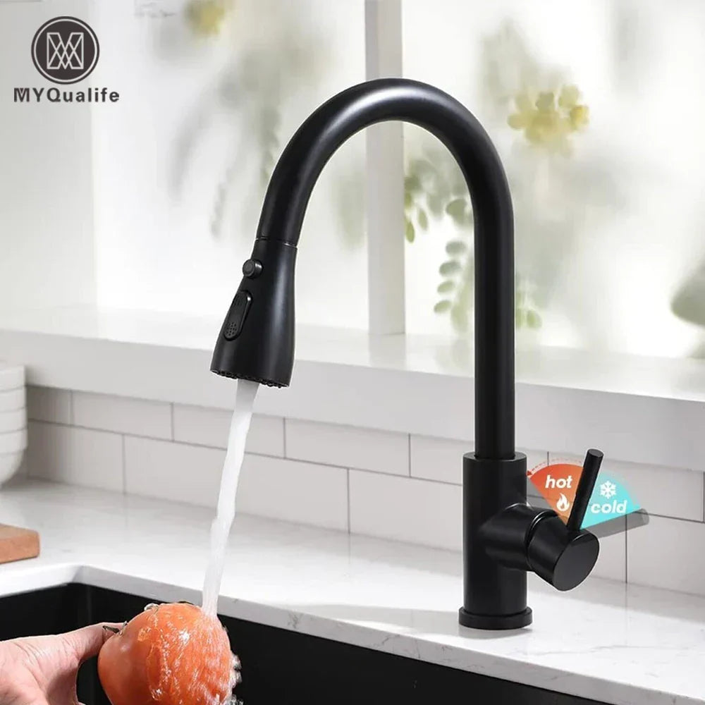 BlackStream - Modern Black Kitchen Faucet with Pull-Out Sprayer