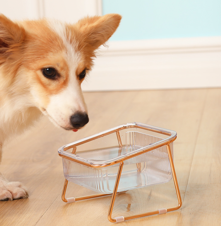 PetChic - Stylish Food Bowl for Trendy Pets