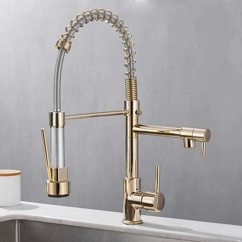 DualFlow - Black and Gold Dual-Spout Brass Kitchen Faucet