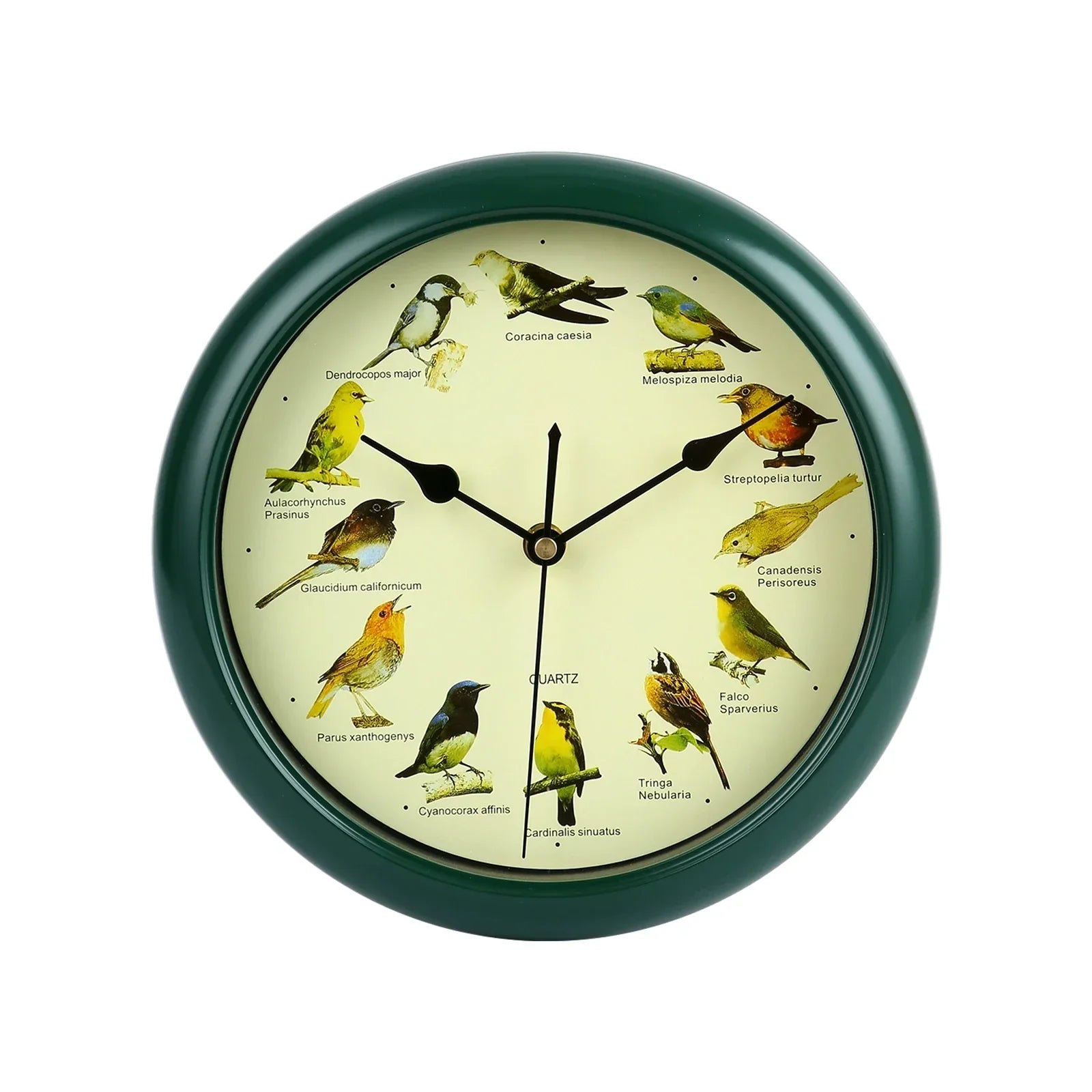 BirdSong Clock - Horloge murale 25 cm avec chants d'oiseaux