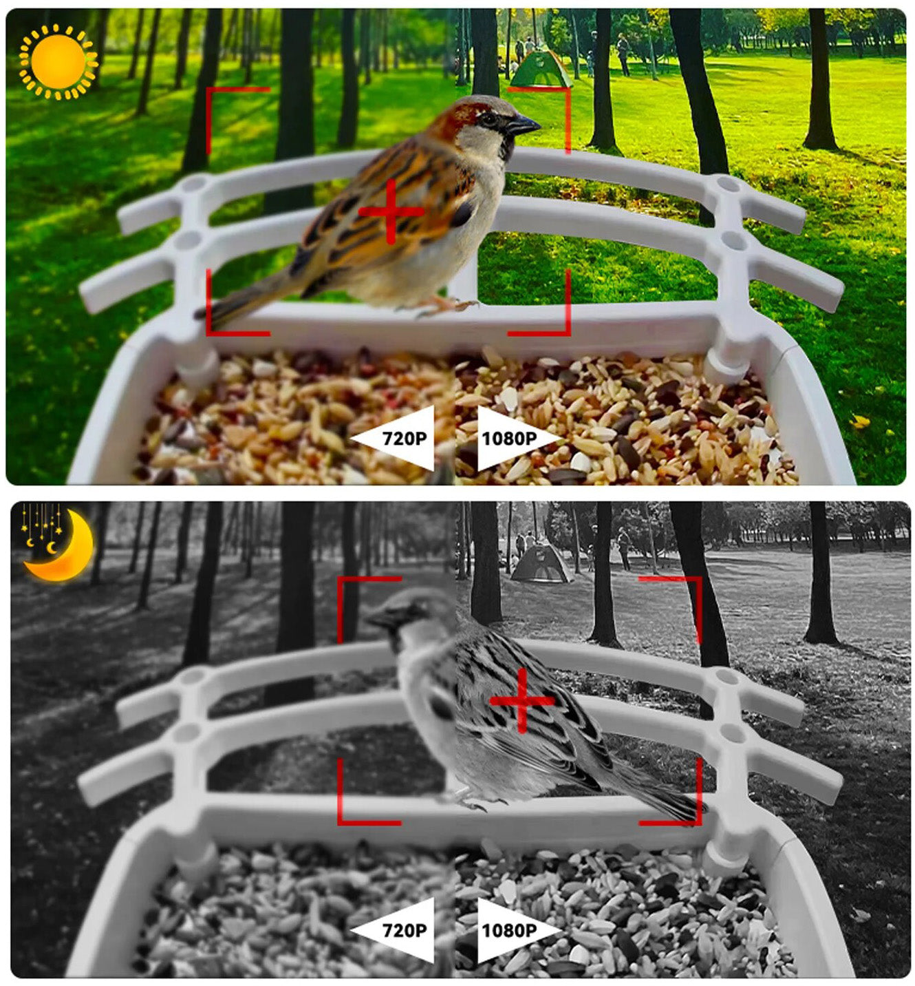 Mangeoire à Oiseaux Solaire sans Fil - Caméra HD avec Reconnaissance IA