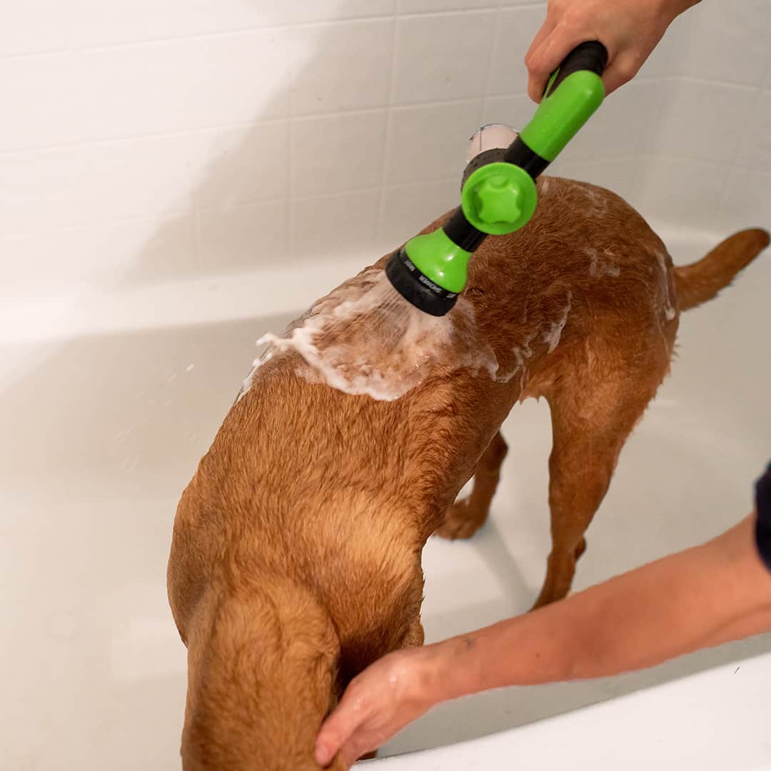 Dogjet Pro - Douchette de lavage pour chien à raccorder au tuyau