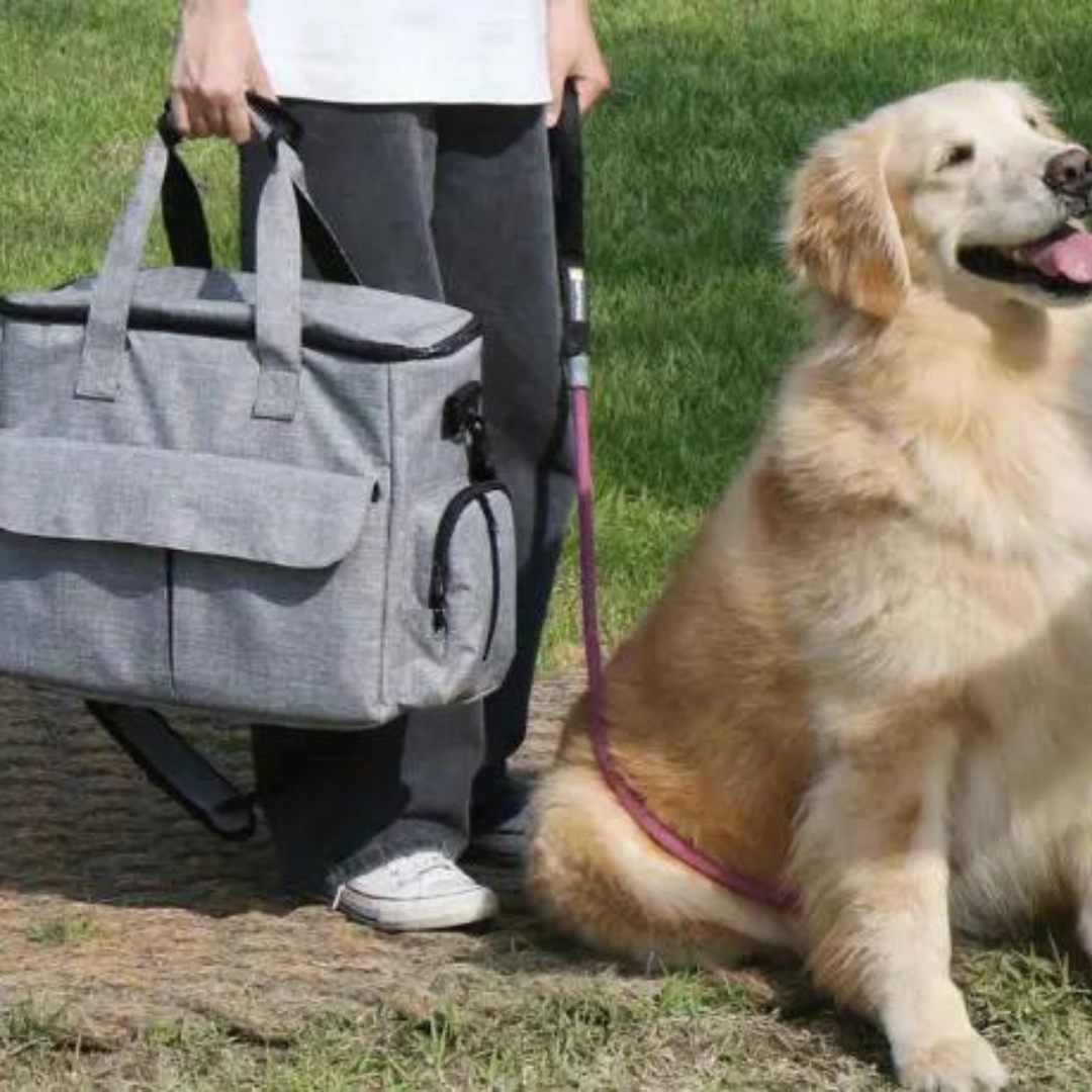 OutdoorPaw Bag - Sac à Dos Chien Aventure Plein Air