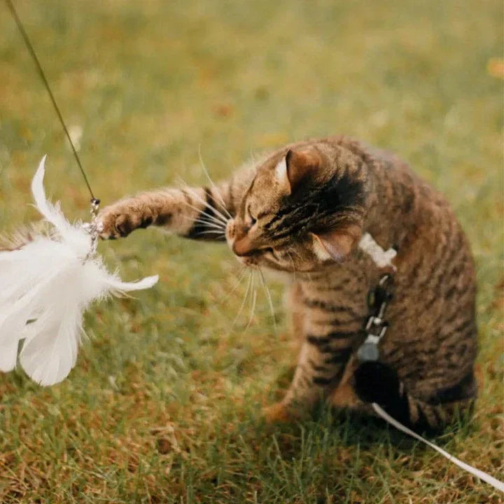 Interactive Bird - Realistic Motion Cat Toy