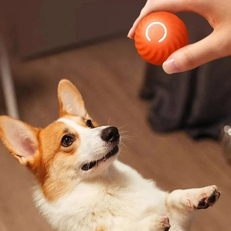 SmartPlay - Interactive Automatic Ball for Dogs