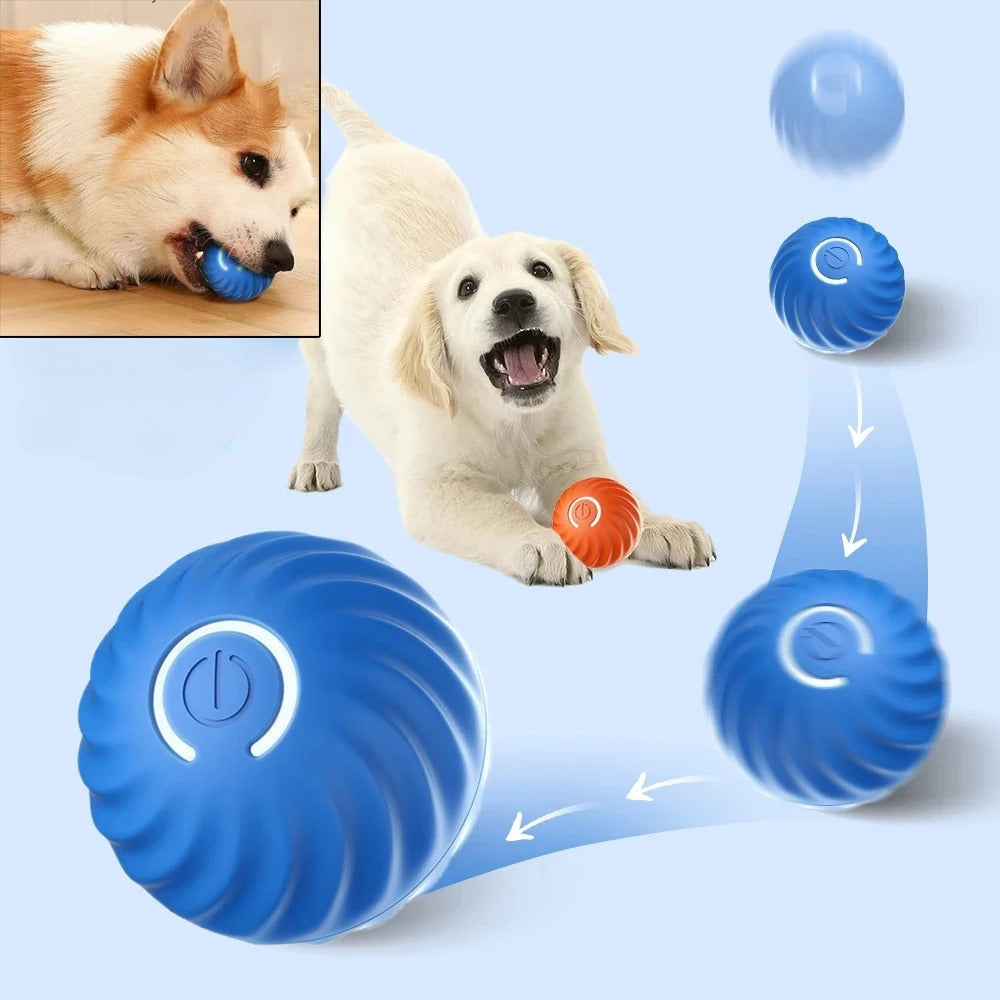 SmartPlay - Interactive Automatic Ball for Dogs