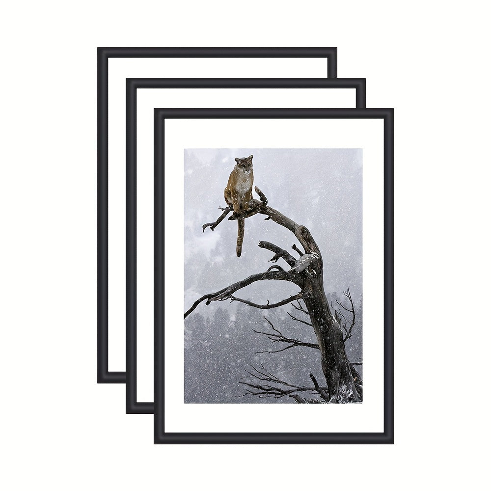 GalleryFrame - Set of 3 Black Photo Frames for Wall and Table