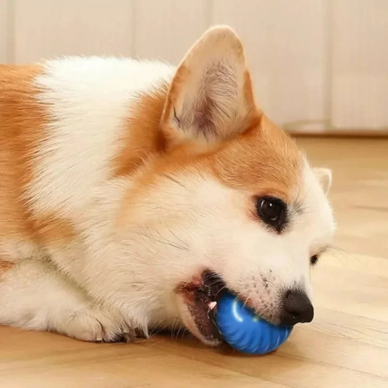 SmartPlay - Interactive Automatic Ball for Dogs