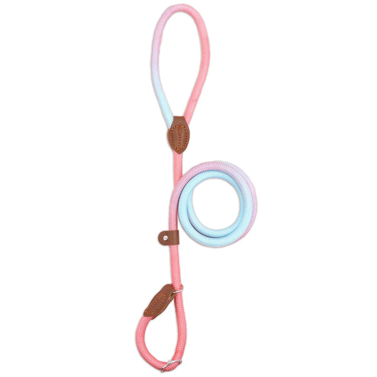 Clementine Leash - Colorful Dog Leash for Stylish Walks