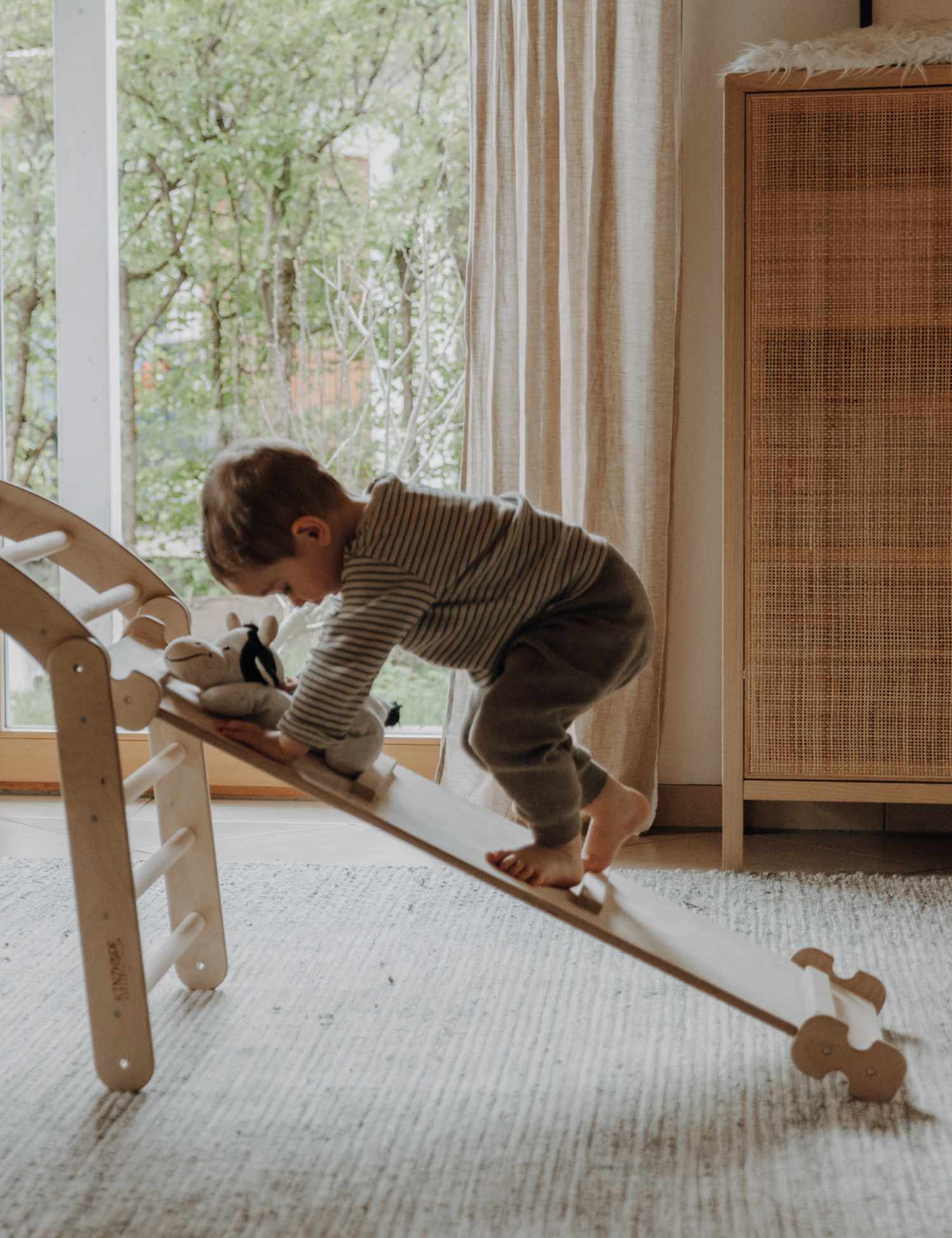 PlayClimb Ladder - 2-in-1 Slide and Climbing Ladder