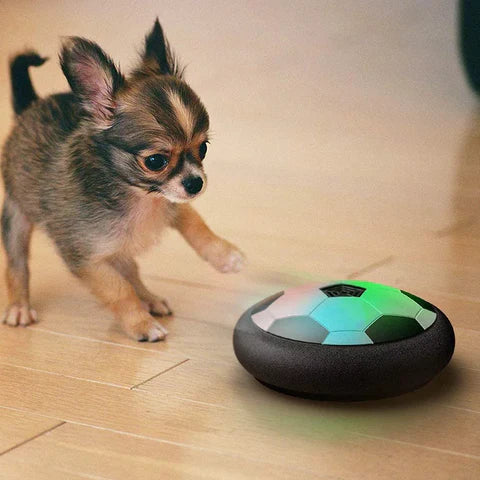 PlayBall Pro - Interactive Dog Ball