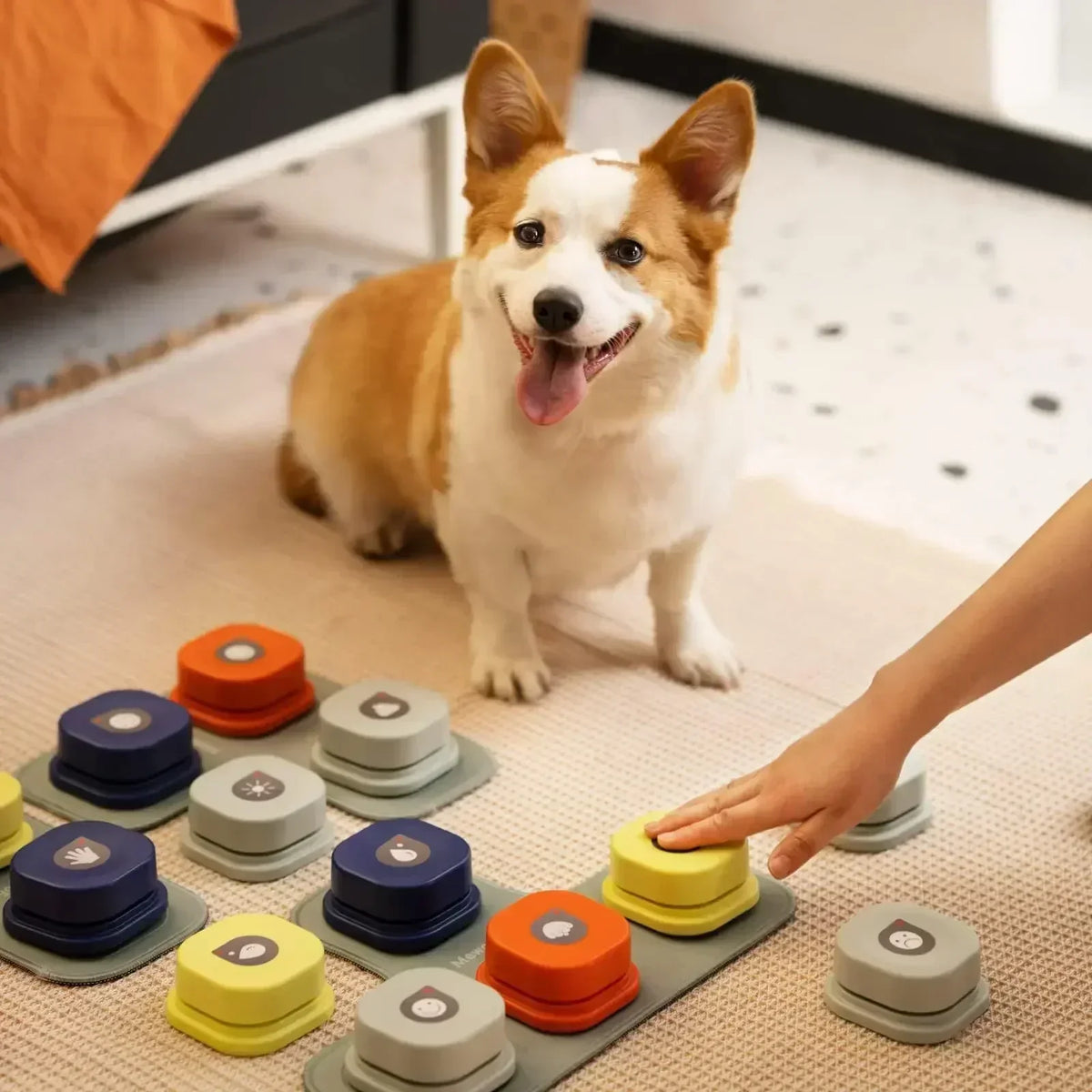 BarkTalk - Interactive Buttons for Dog Training and Communication