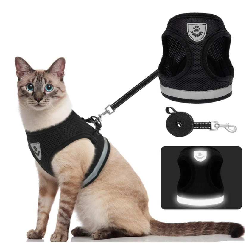 AdventureKit - Secure Harness for Adventurous Cats