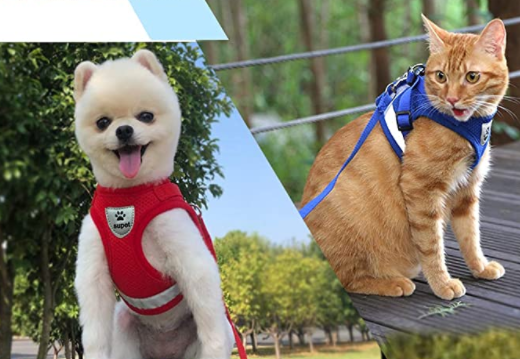 AdventureKit - Secure Harness for Adventurous Cats