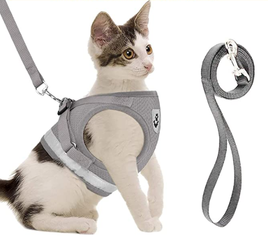 AdventureKit - Secure Harness for Adventurous Cats